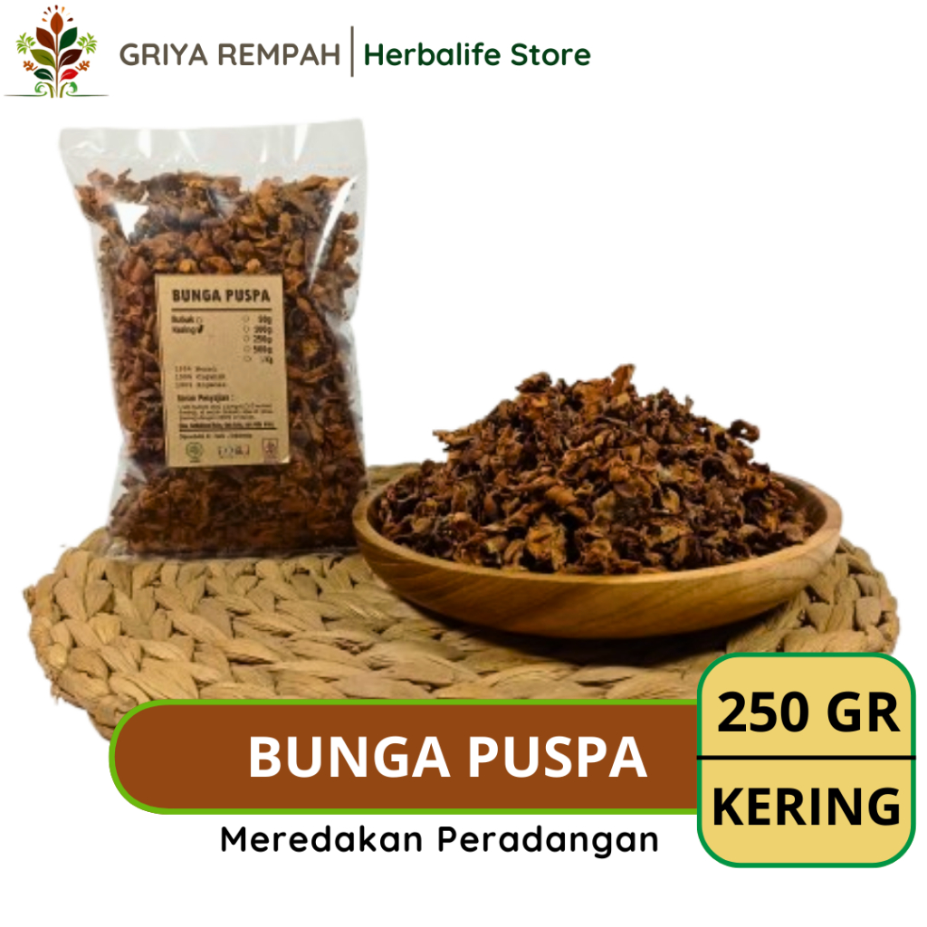 

BUNGA PUSPA KERING 250 GRAM Simplisia Herbal Premium untuk Ramuan Jamu Tradisional & Kesehatan Alami Schima wallichii