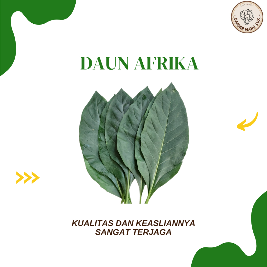 

DRIED SERBUK DAUN AFRIKA BEST SELLER