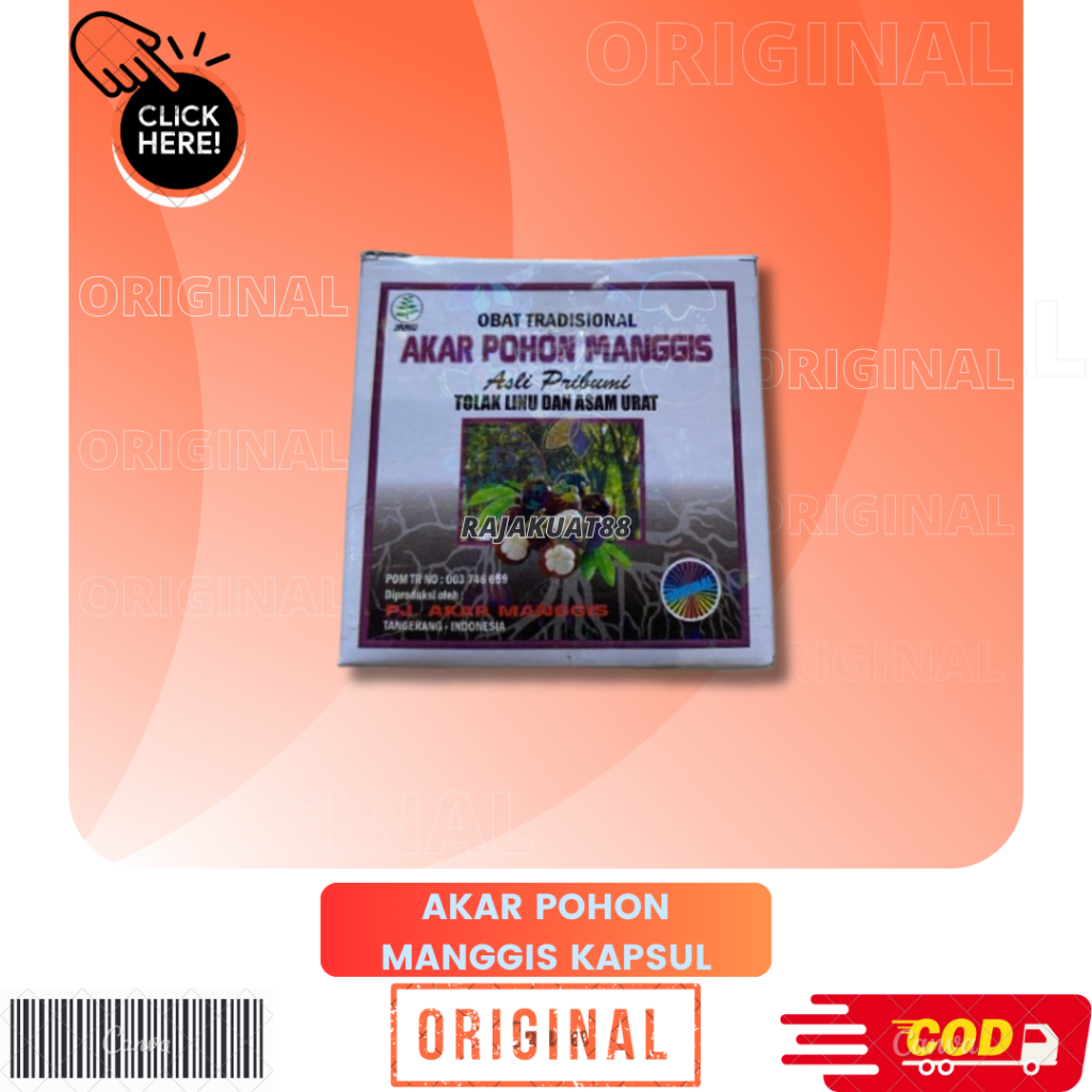 AKAR POHON MANGGIS ORIGINAL