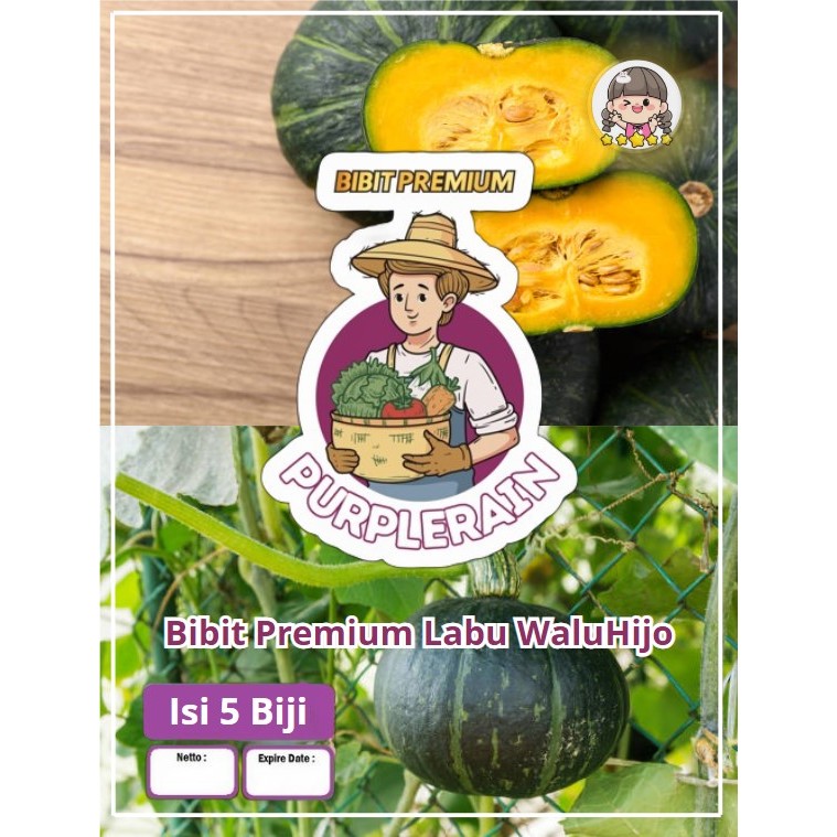 Harga waluh ijo Terbaru Jul 2026 | BigGo Indonesia