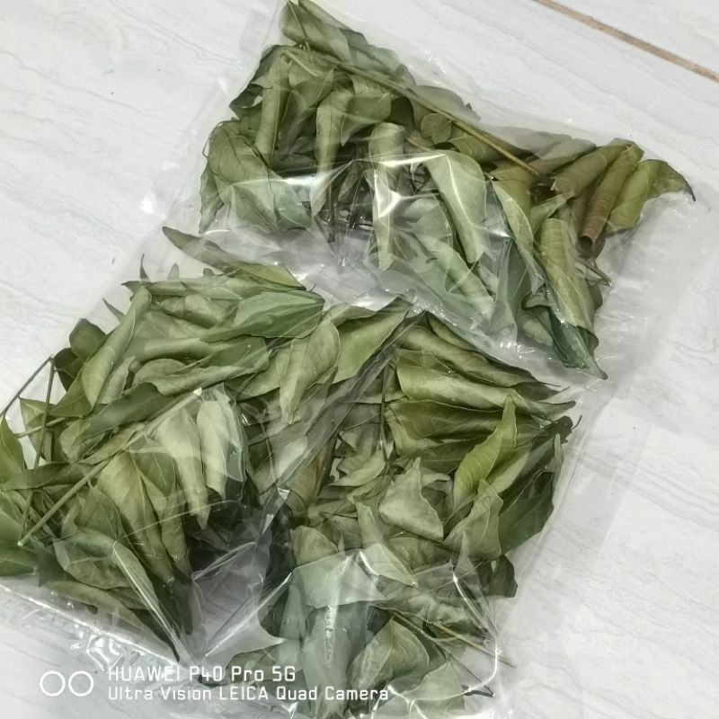 

DAUN KARI 12 TANGKAI KERING UNTUK MASAK | CURRY LEAVE
