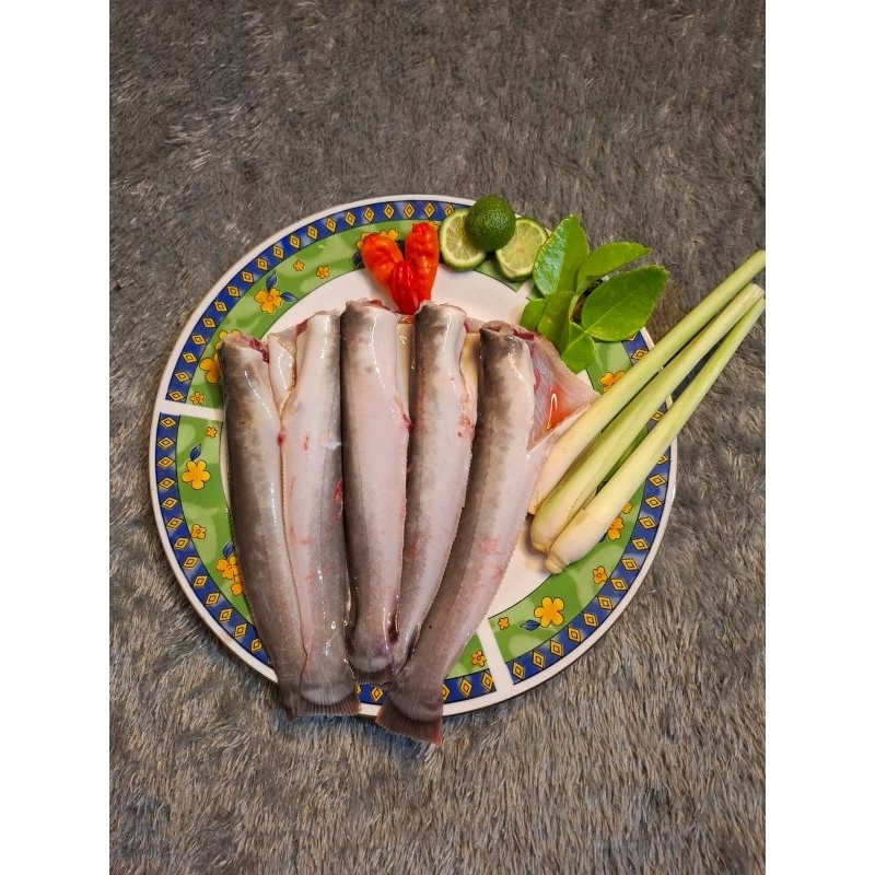 

Lele segar ( tanpa kepala)