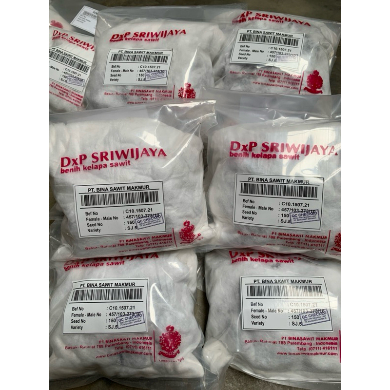 Dxp Sriwijaya Benih Kelapa Sawit Makmur