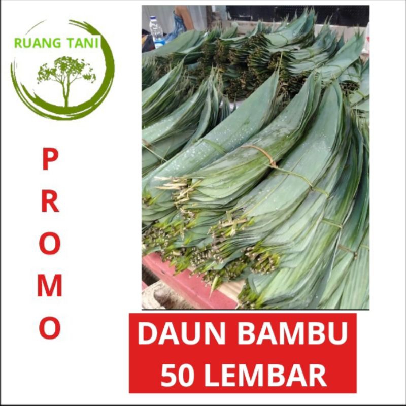 

DAUN BAMBU 100 LEMBAR SUPER LEBAR