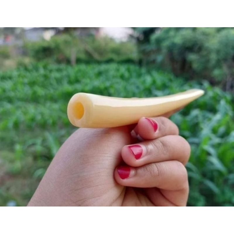 ONCE PIPA TULANG SAPI SUPER TEBAL BANGET