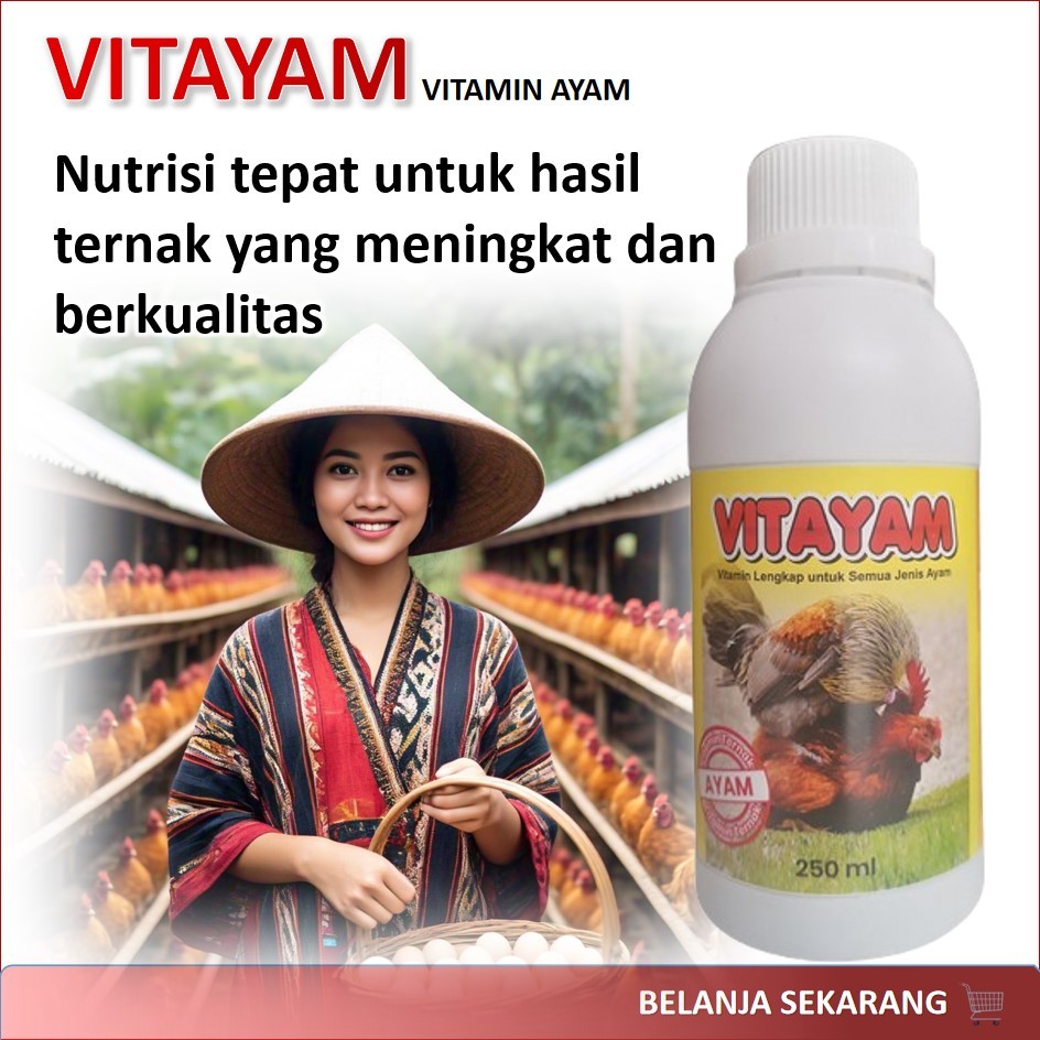 VITAYAM / Vitamin ayam / Suplemen ayam / Nutrisi ayam / Vitamin untuk ayam / Ayam sehat / Vitamin ay