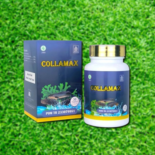 COLLAMAX ekstrak ikan gabus, gamat emas dan spirulina herbal luka pasca operasi