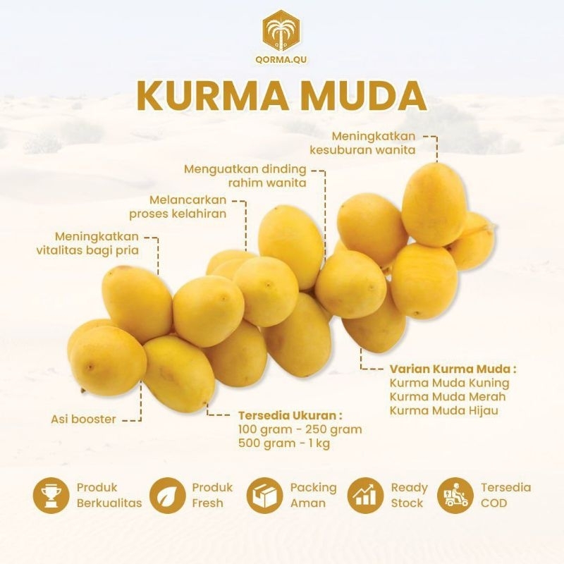 

PRE ORDER AKHIR MEI KURMAMUDA BARHI MANIS| Kurma Muda | kurma muda | kurmamuda | kurmamuda promil | Kurmamuda |kurmamudaBarhikurmamudamanis|kurmamudaarab