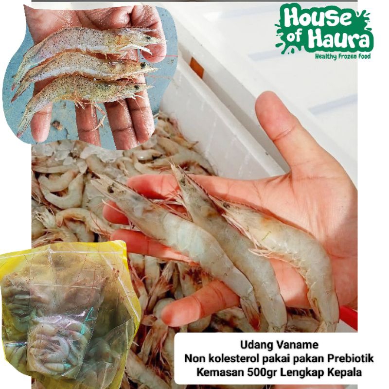

Udang Vaname non Kolesterol