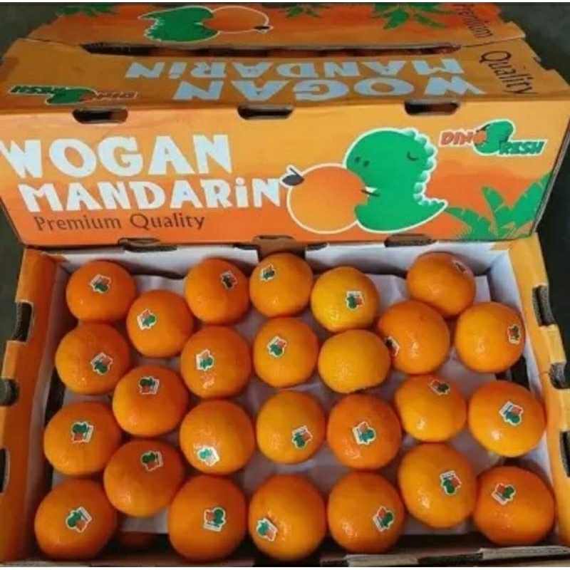 

jeruk wogan dino mandarin 9kg dus