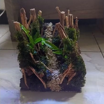 HARDSCAPE JUNGLE STYLE 15CM SIZE S | AQUASCAPE FUL SET
