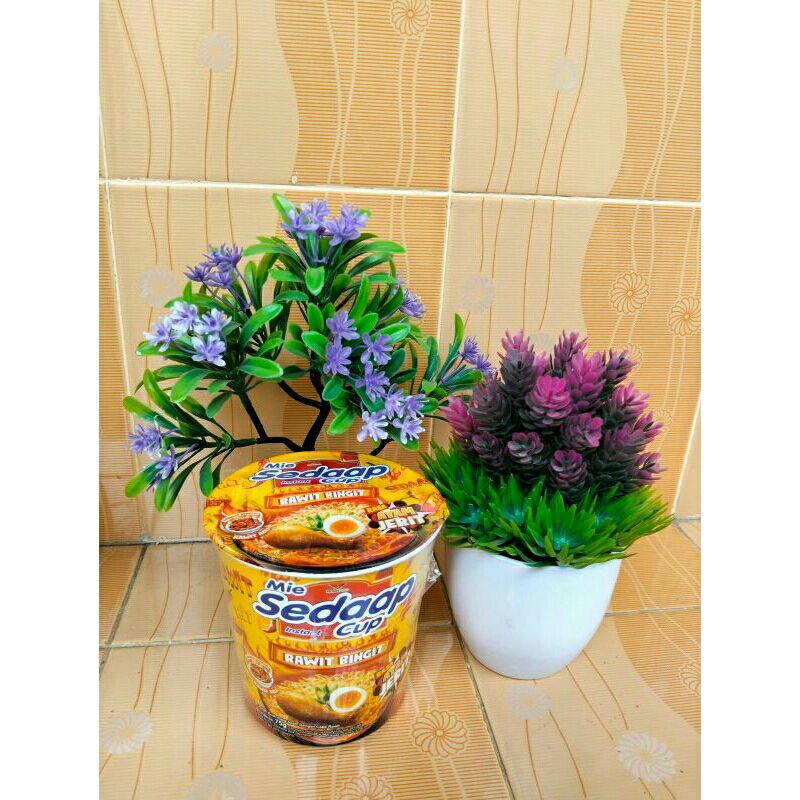 

Mie Sedaap Cup