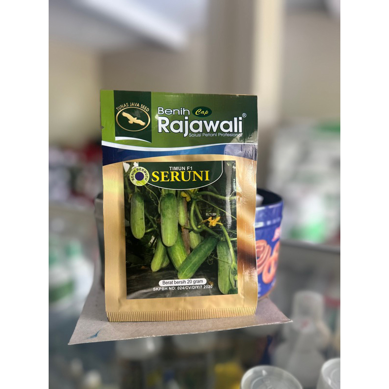 benih timun kecil / timun baby seruni