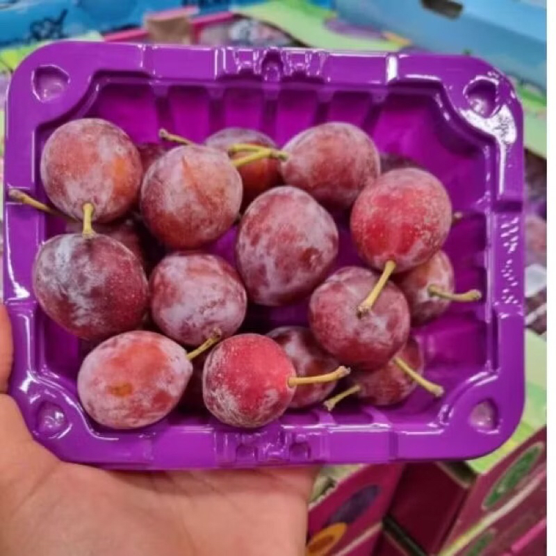 

Buah Plum