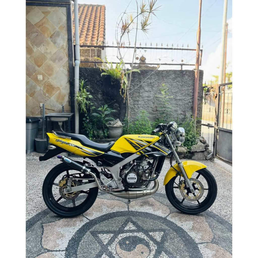 cat original kuning ninja ss