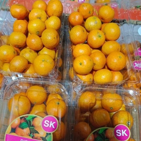 

JERUK MANDARIN BUAH SHA TANG SHANTANG JERUK MINI TRADISI IMLEK ORANGE