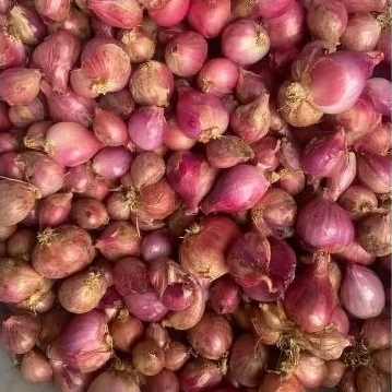 

BAWANG MERAH 500gr