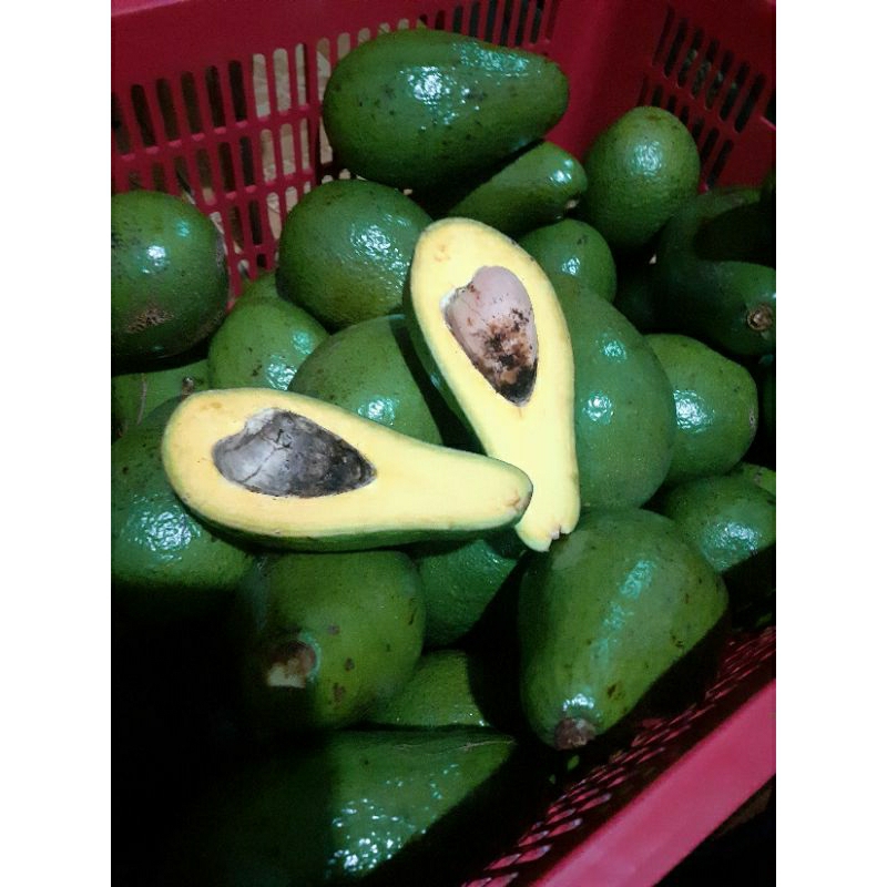

Alpukat Premium Pluwang Mentega Pulen Buket 1KG Isi 2-3 Buah (400Gram s.d 700Gram Perbuah)