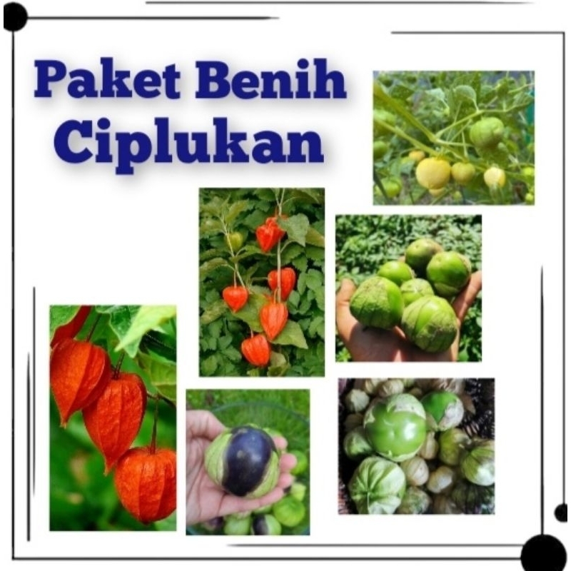 PAKET BENIH CIPLUKAN JUMBO UNIK