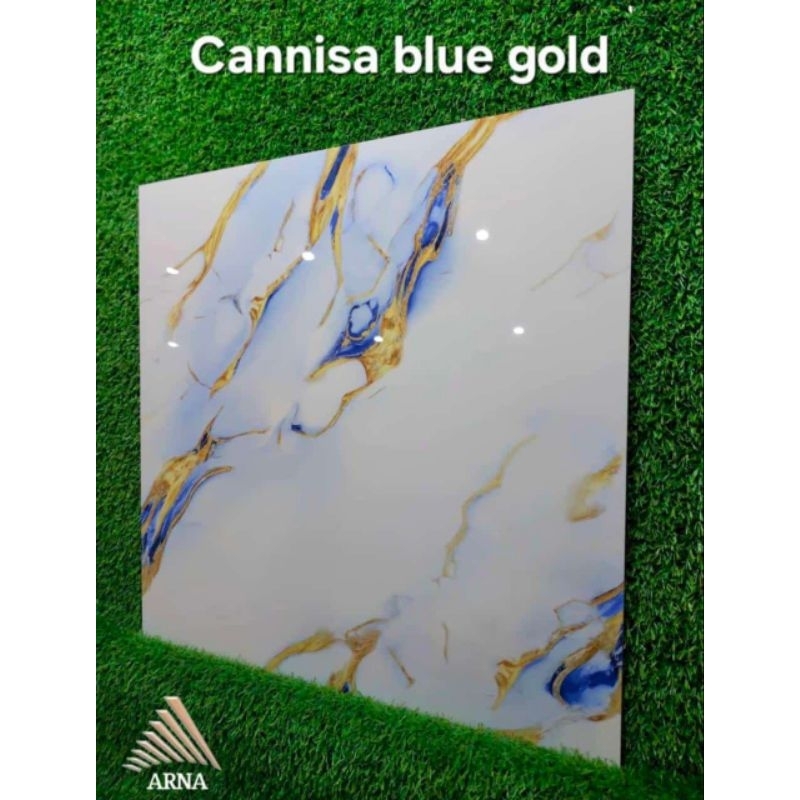 granit lantai 60x60 cannisa blue gold