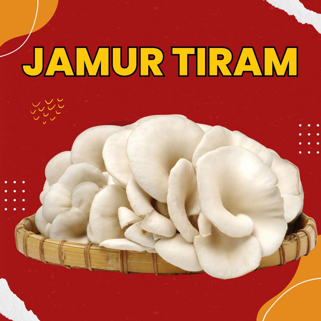 

JAMUR TIRAM 1 KG / SUUNG / 1 KG