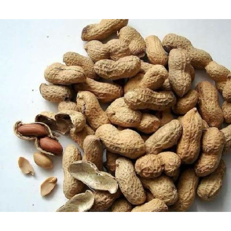

KACANG KULIT ASIN