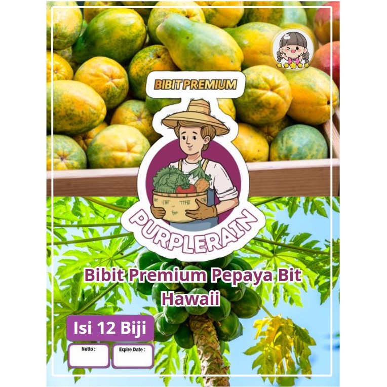 Bibit Premium Pepaya Bit Hawai | Biji Benih Pepaya Bit Hawai | Biji Bibit Pepaya Bit Hawai