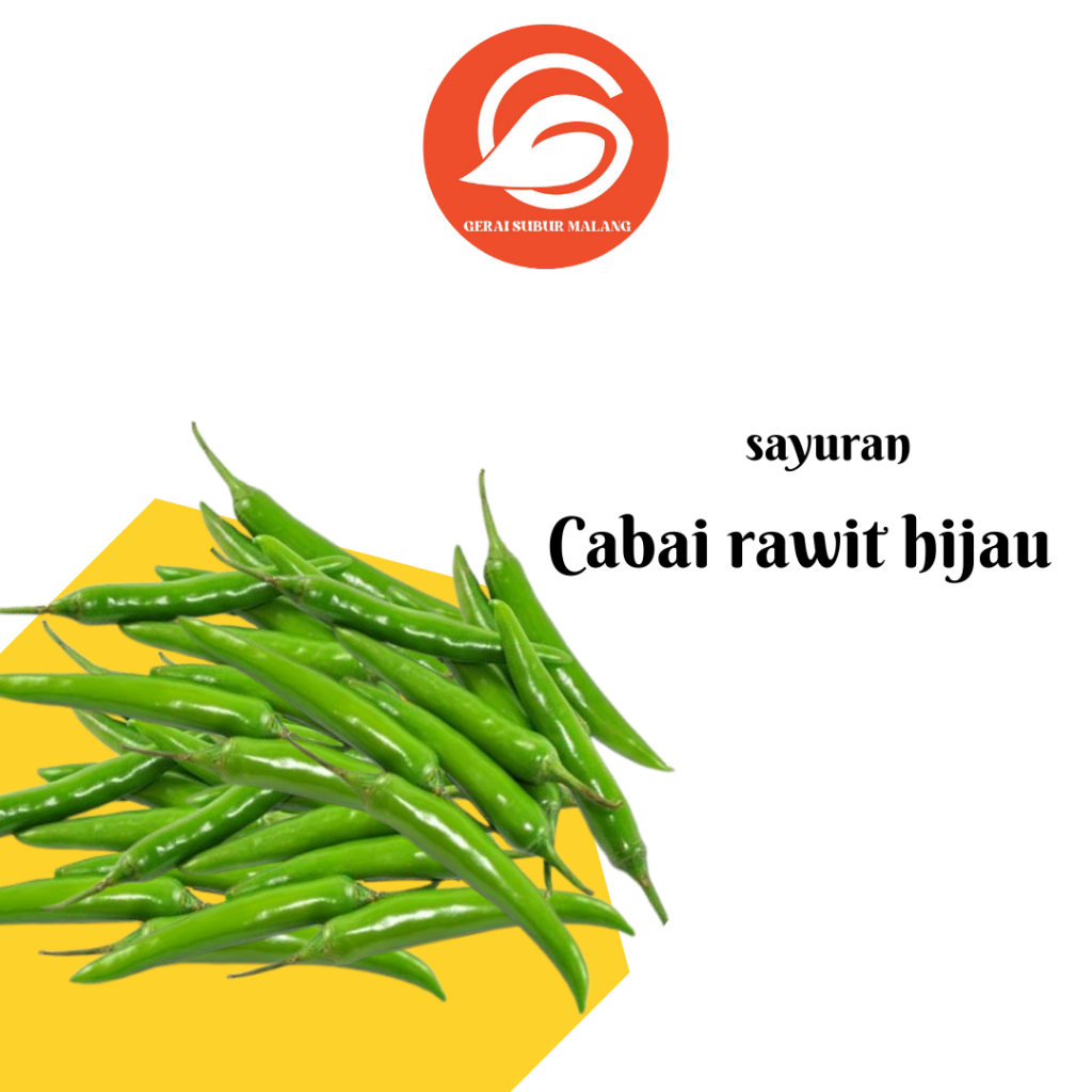 

Cabai/ cabe rawit hijau segar pedas | siap untuk dimasak | cabe lalap