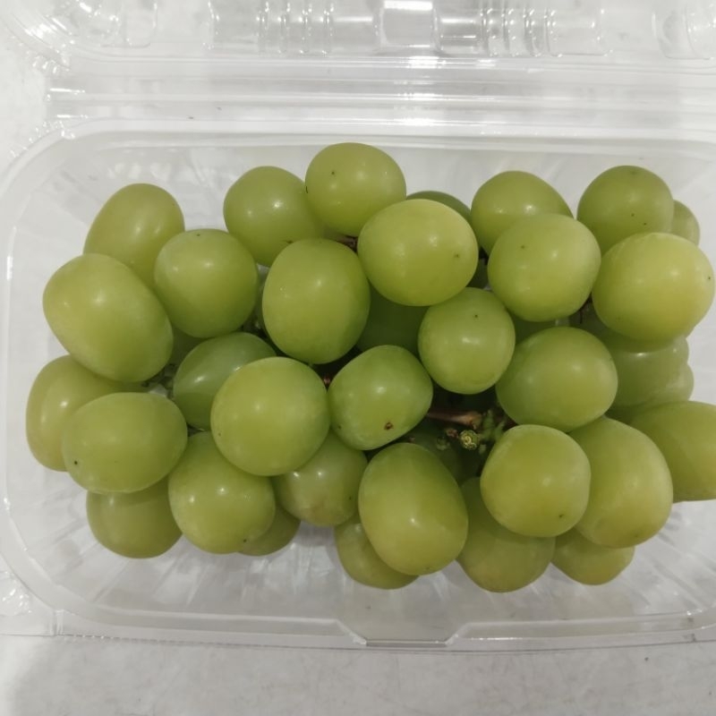 

Angur hijau muscat 500gr
