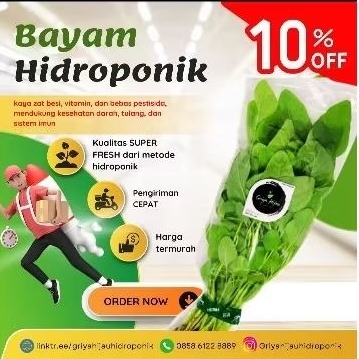 

Bayam Hidroponik Sayuran murah 200g