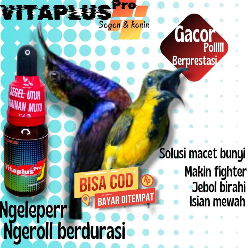 VITAPLUSPRO SOGON KONIN/PENGGACOR/VITAMIN/SUPLEMEN/DOPING SOGON KONIN GACORR NGELEPER NGONSLET