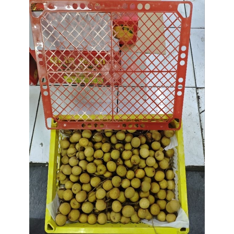 

lengkeng Bangkok gift pack imlek