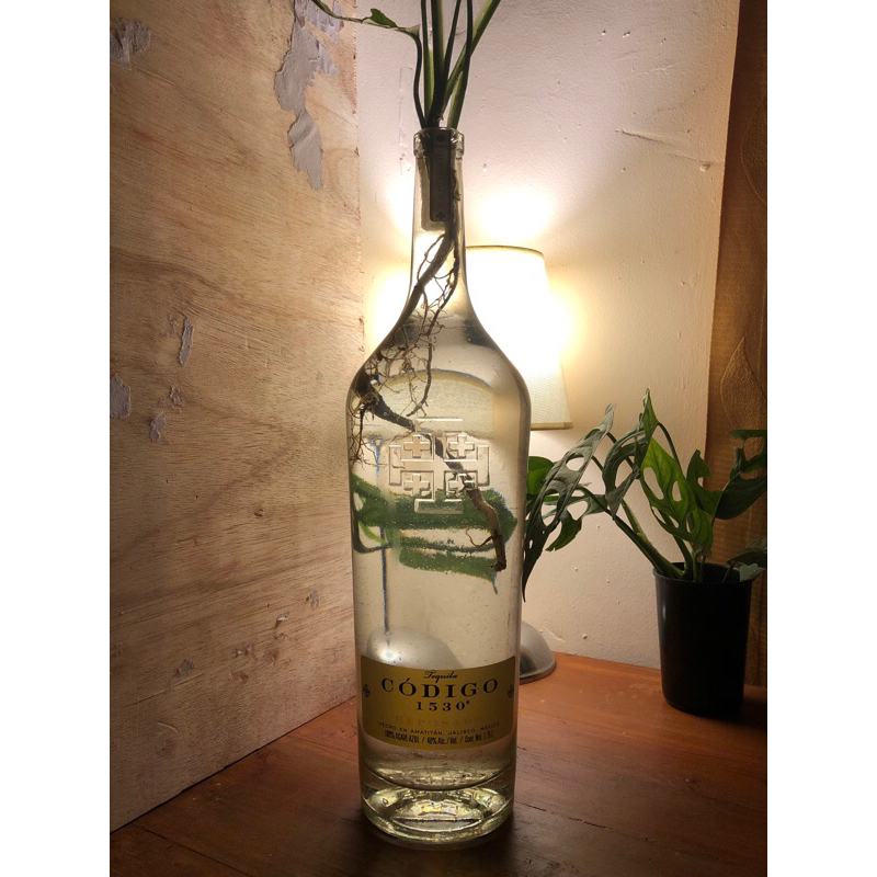 

Botol Bekas Minuman Codigo 1530