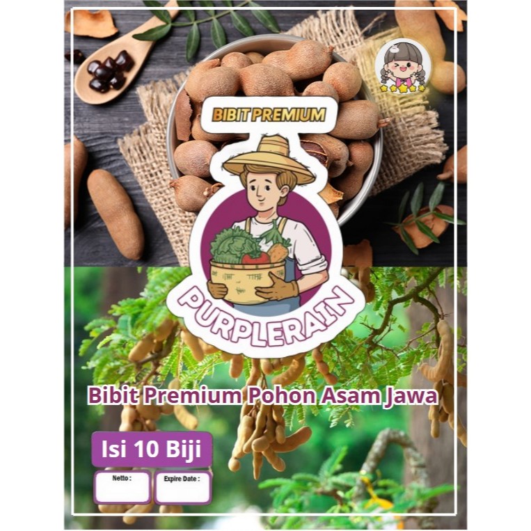 Bibit Premium Asam Jawa | Biji Benih Pohon Asam Jawa | Biji Bibit Asam