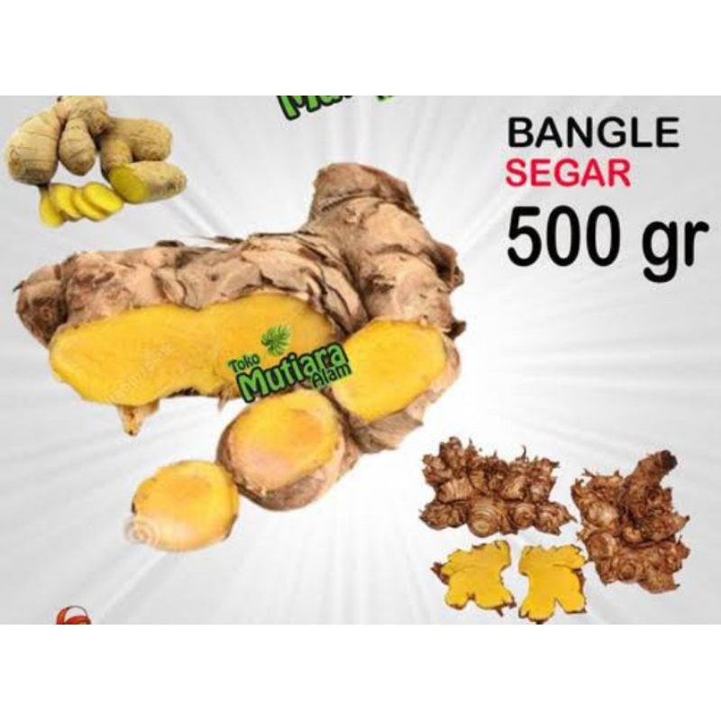 

Bangle/panglai segar obat herbal 500gr
