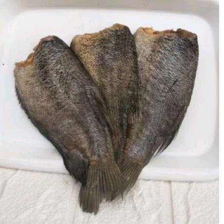 

Ikan Sepat Bangkok Besar