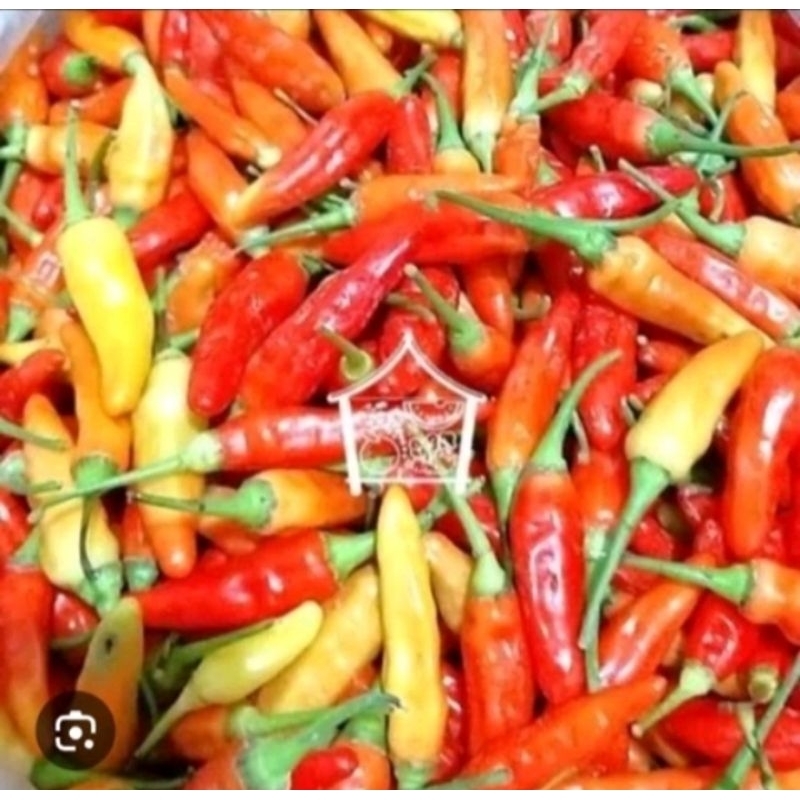 

Cabai / cabe rawit merah 500gr