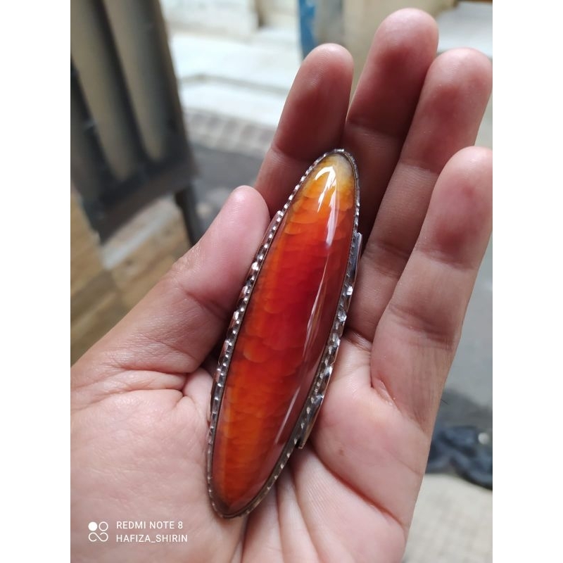 PANDAN NANAS MERAH RUDAL