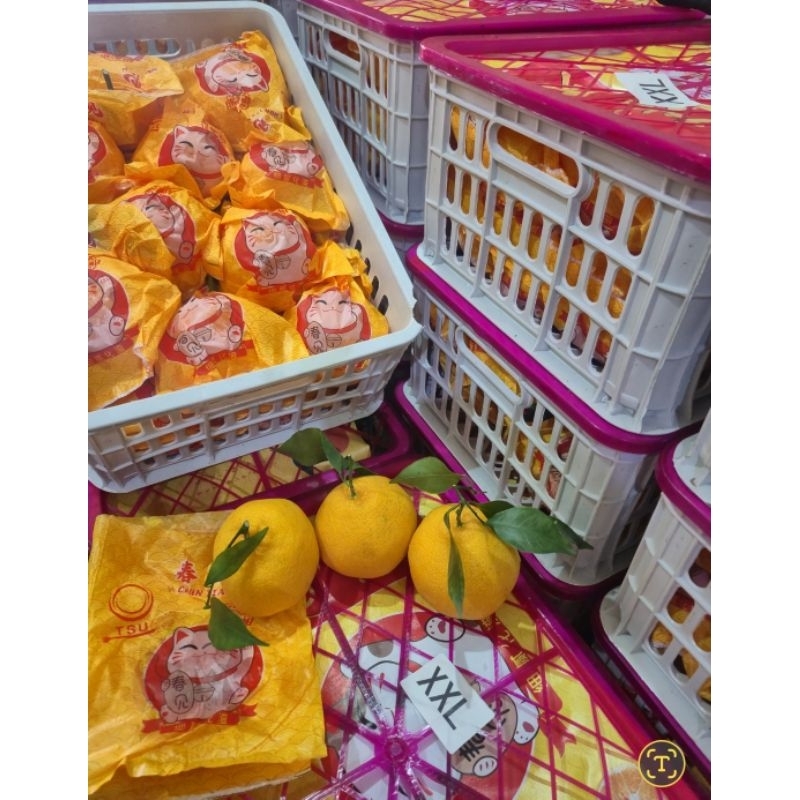 

jeruk dekopon kucing xxl krat