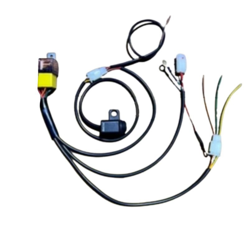 relay set plus saklar lampu tembak d2 laser universal