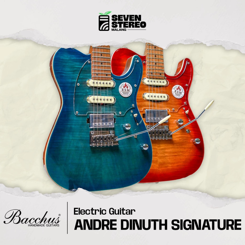 Bacchus Andre Dinuth Signature - Bacchus Guitar TAC24AD-FMH-RSM/M