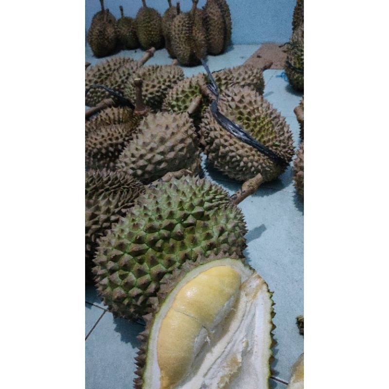 

Durian Bawor Banyumas ( Utuh fresh 3 kg )