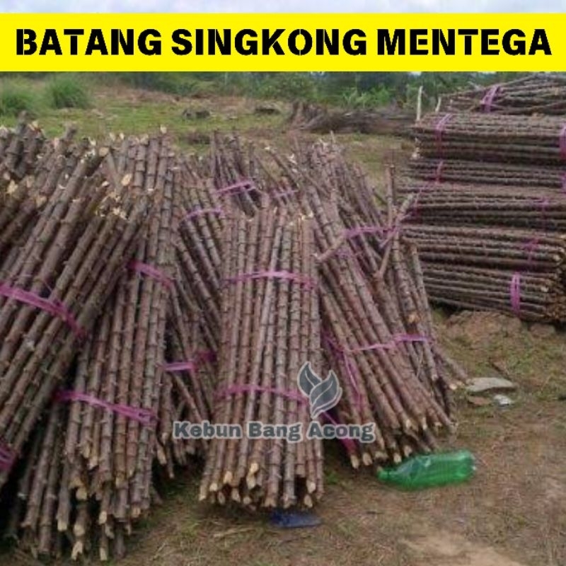 

20 Batang Singkong Mentega