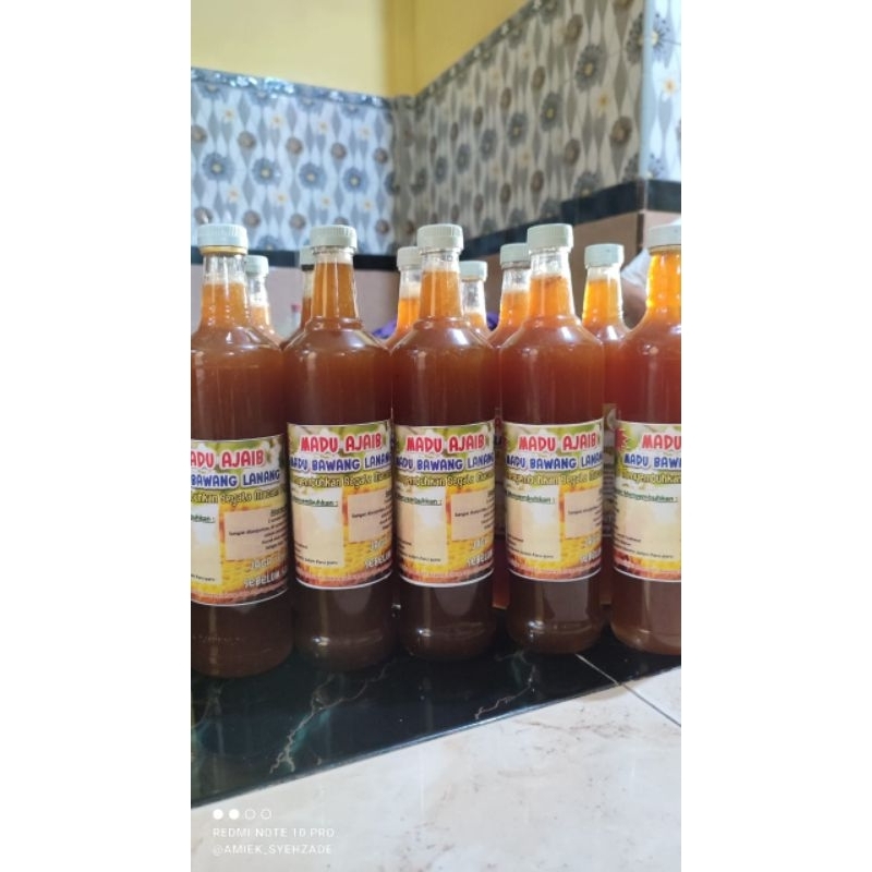 

Madu Ajaib Bawang Lanang