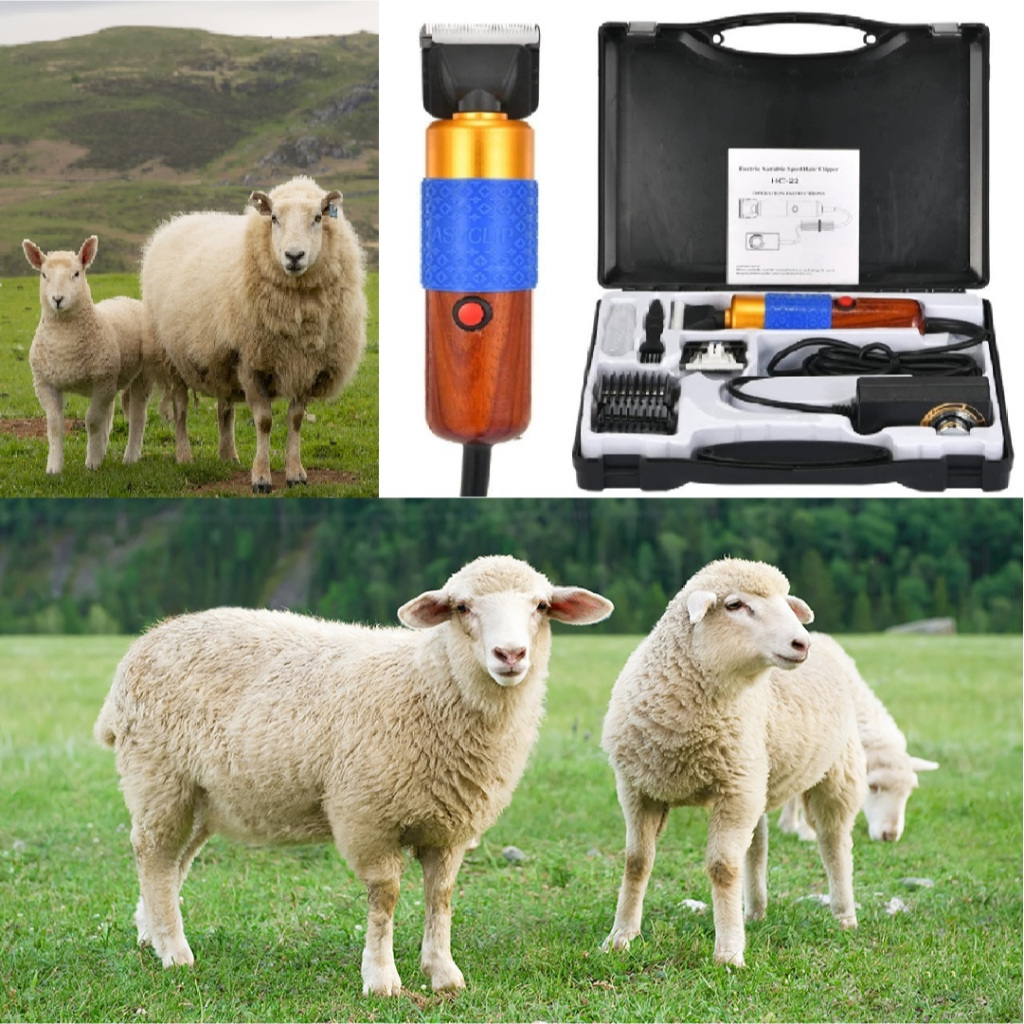 Alat CUKUR BULU DOMBA KAMBING alat cukur domba elektrik Anjing Kucing  pet clipper sheep clipper