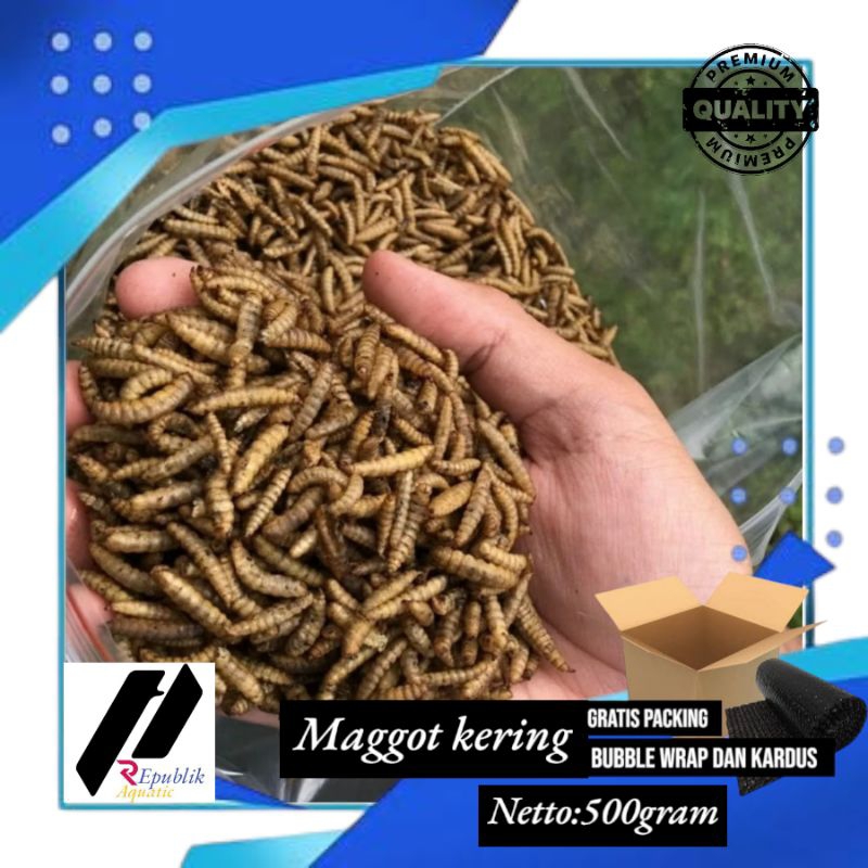 Maggot kering 500 gram / maggot 1/2kg/ maggot kering/maggot/pakan koi / pakan ikan premium