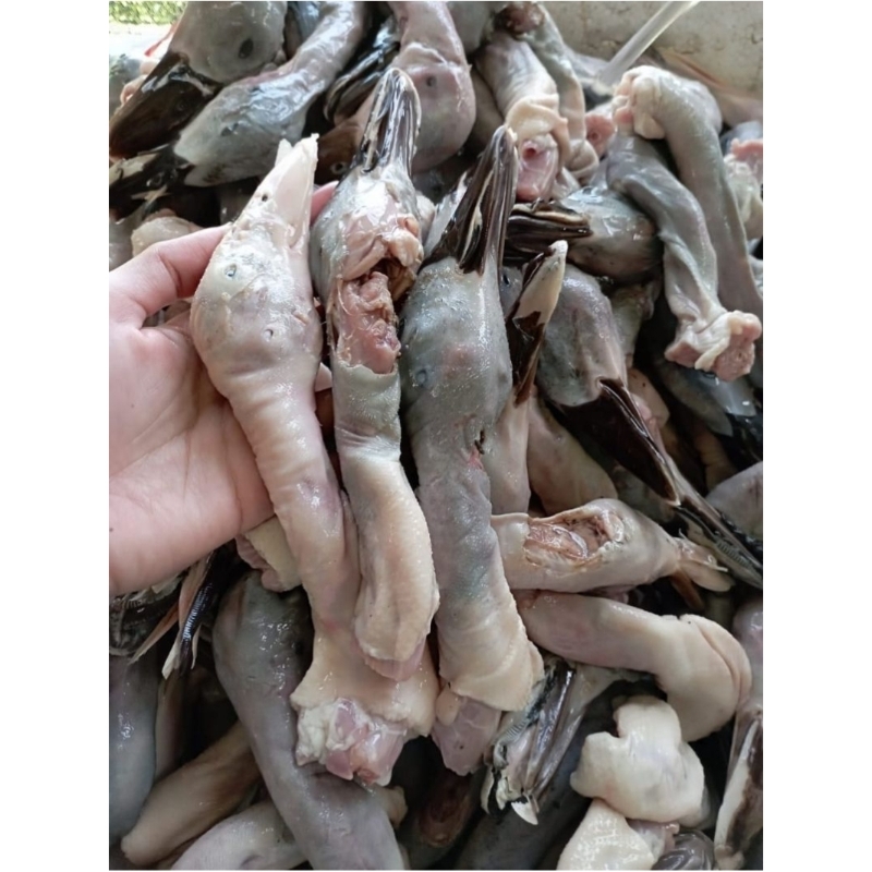 

Kepala Bebek Fresh