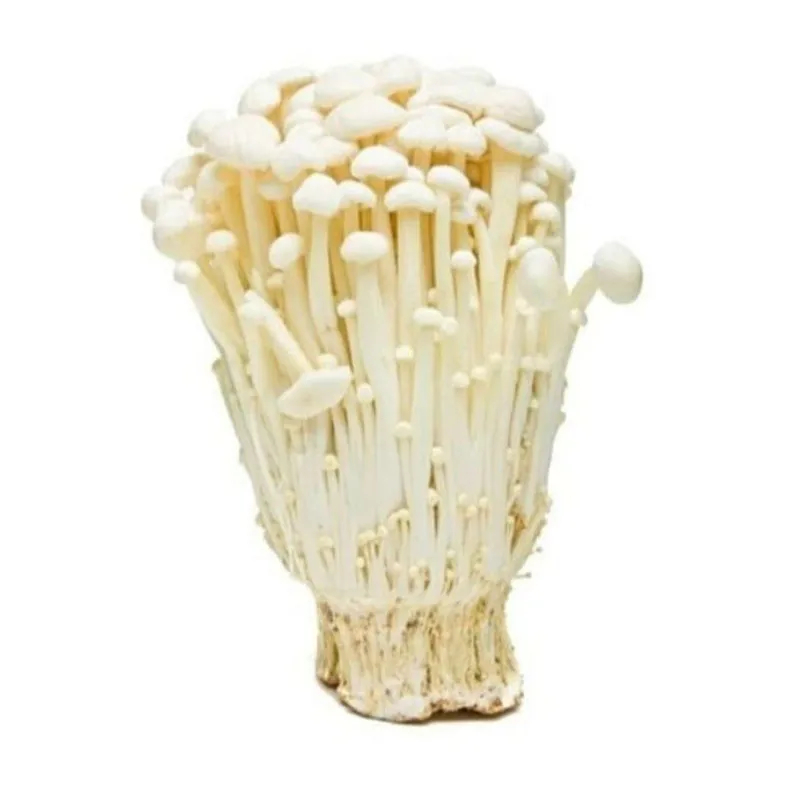 

Jamur enoki / enoki mushroom 1 bungkus - Pasar Nusantara