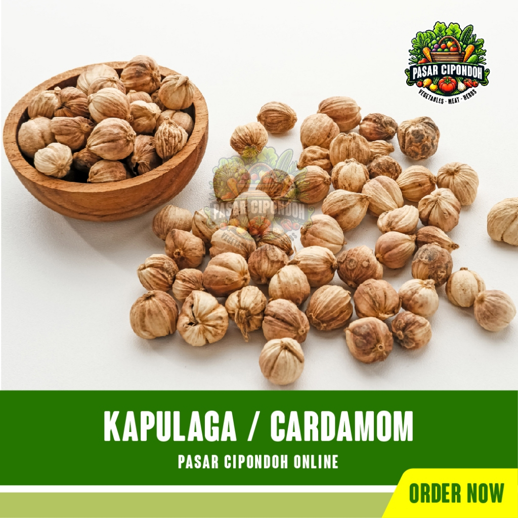 

Kapulaga kapulogo Kering Rempah 50 gram / Cardamom - Pasar Cipondoh Tangerang