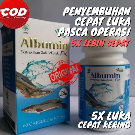 ALBUMIN FIT KAPSUL ALBUMIN KAPSUL IKAN GABUS OBAT LUKA MEMPERCEPAT PENYEMBUHAN LUKA / PASCA OPERASI